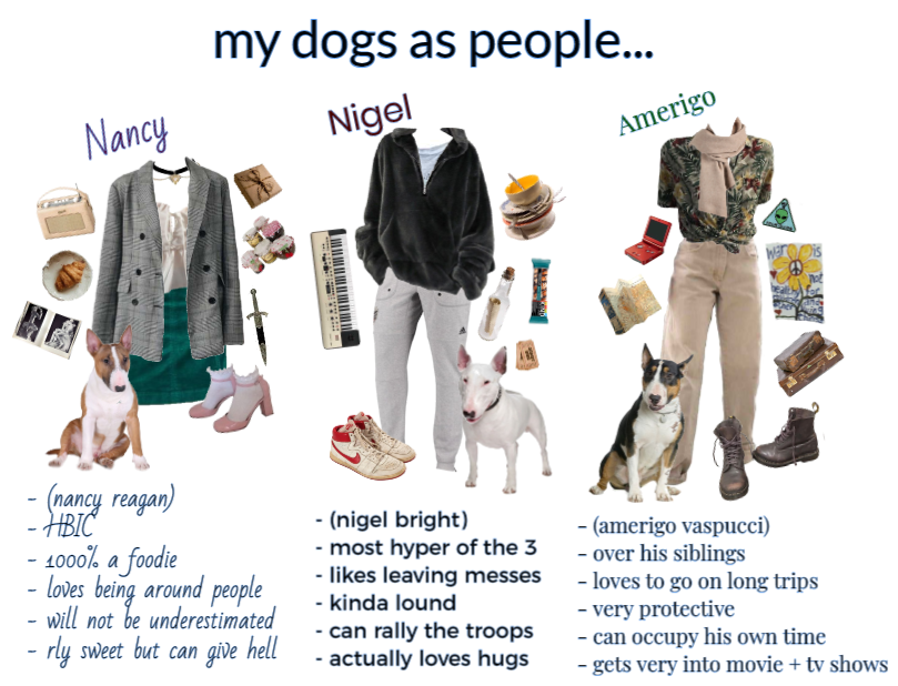 my doggos as people