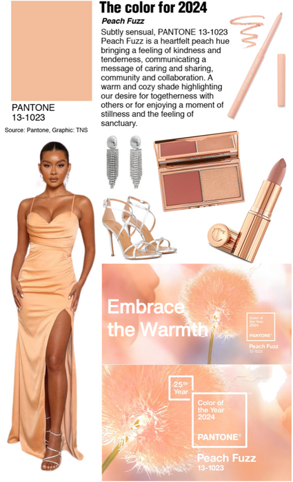 Color of the Year for 2024 - Peach Fuzz-