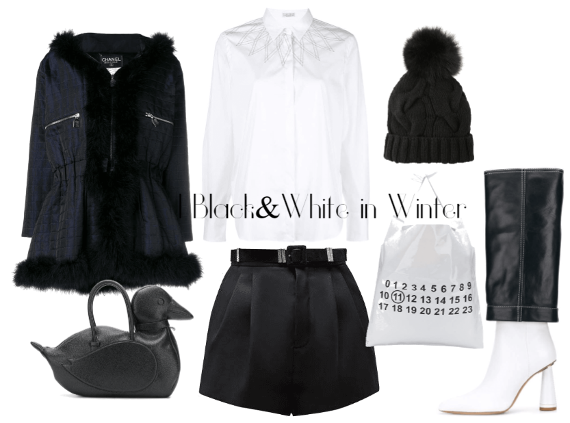 Black and white in winter