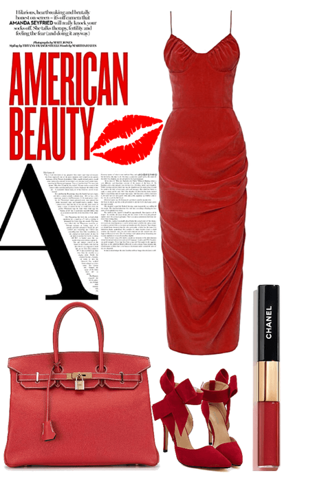 red birkin Outfit