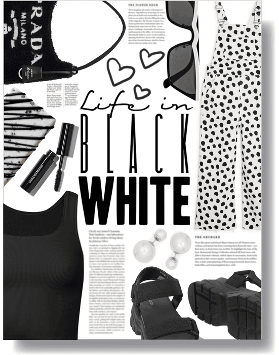 life in black & white 🖤🤍