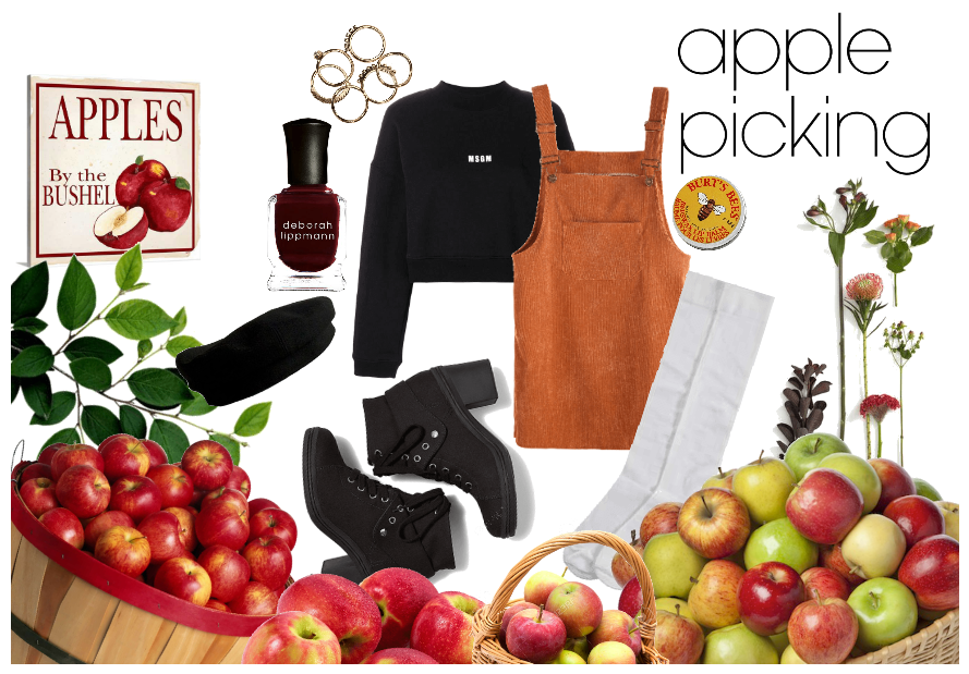 Let's go apple picking!