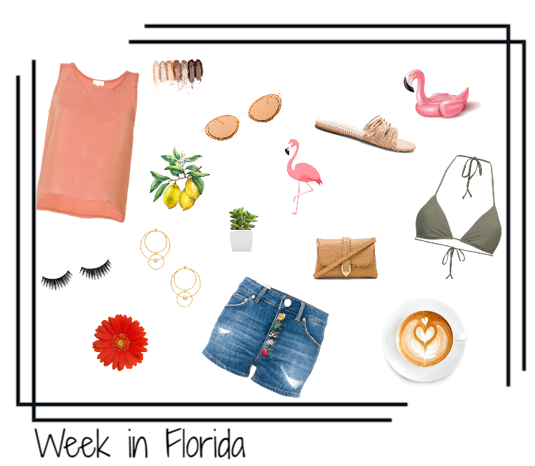 Week in Florida