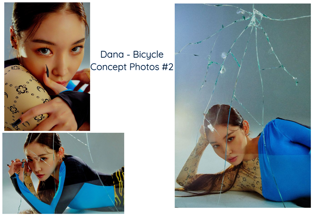 Dana Bicycle Concept Photos #2