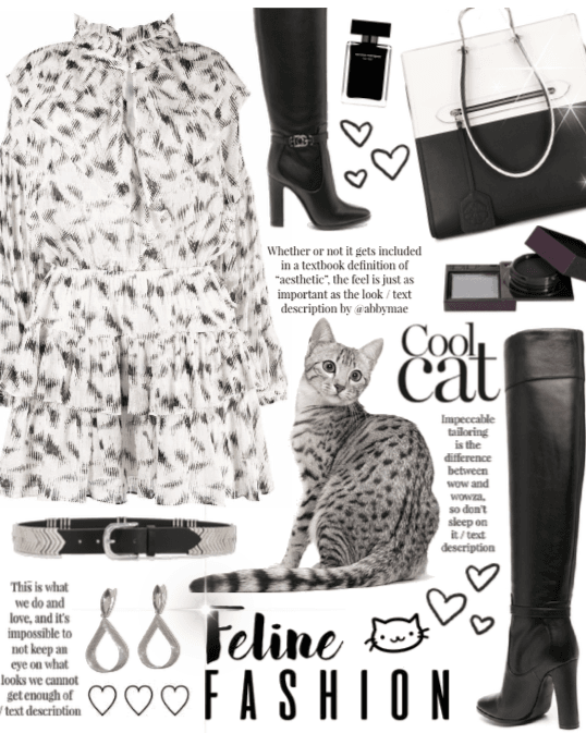 Feline Fashion - Egyptian Mau cat