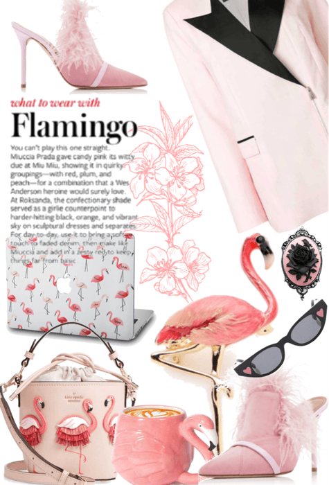 Flamingo Around