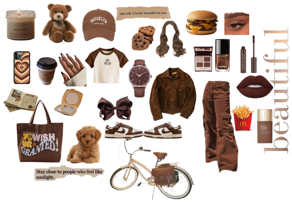 Brown Outfit Idea