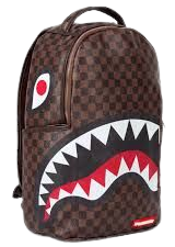 Bape X Louis Vuitton Backpack