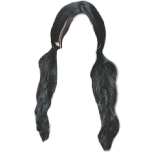 Black Hair Low Pigtail PNG | ShopLook