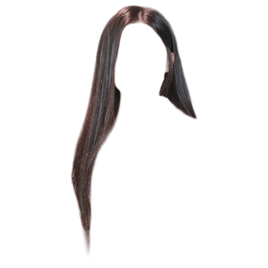 Free Roblox Hair PNG Images HD - PNG Play